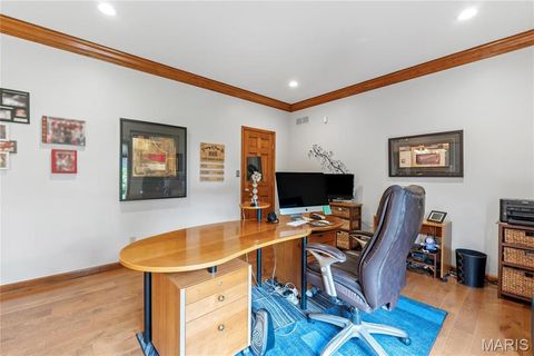 Tiny photo for 287 Larimore Valley Drive, Wildwood, MO 63005 (MLS # 25065400)