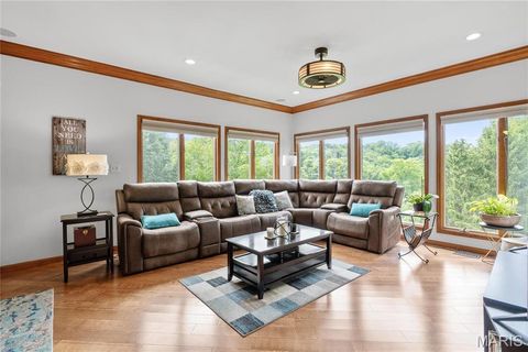 Tiny photo for 287 Larimore Valley Drive, Wildwood, MO 63005 (MLS # 25065400)