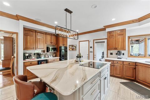 Tiny photo for 287 Larimore Valley Drive, Wildwood, MO 63005 (MLS # 25065400)