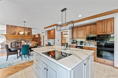 Tiny photo for 287 Larimore Valley Drive, Wildwood, MO 63005 (MLS # 25065400)