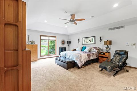 Tiny photo for 287 Larimore Valley Drive, Wildwood, MO 63005 (MLS # 25065400)