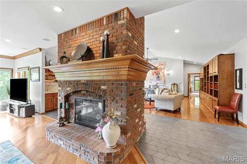 Tiny photo for 287 Larimore Valley Drive, Wildwood, MO 63005 (MLS # 25065400)