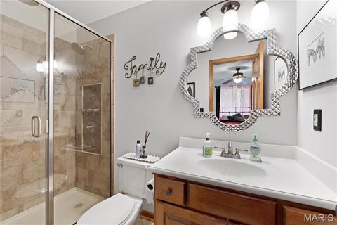 Tiny photo for 287 Larimore Valley Drive, Wildwood, MO 63005 (MLS # 25065400)