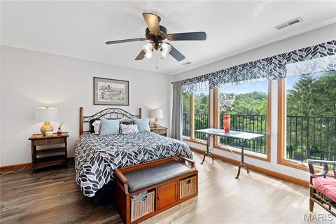 Tiny photo for 287 Larimore Valley Drive, Wildwood, MO 63005 (MLS # 25065400)