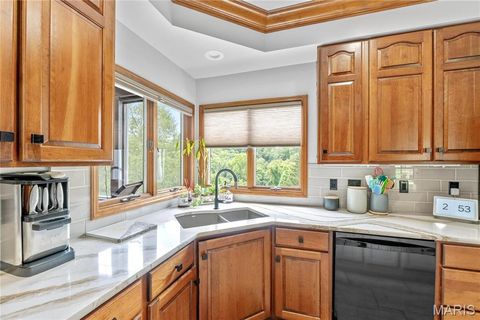 Tiny photo for 287 Larimore Valley Drive, Wildwood, MO 63005 (MLS # 25065400)