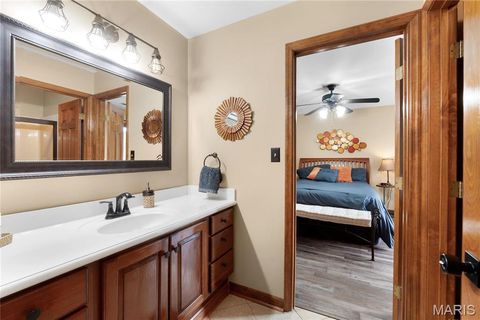 Tiny photo for 287 Larimore Valley Drive, Wildwood, MO 63005 (MLS # 25065400)