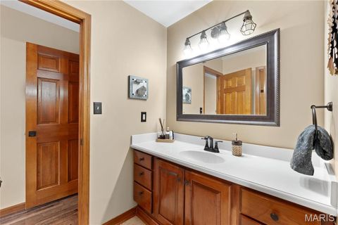 Tiny photo for 287 Larimore Valley Drive, Wildwood, MO 63005 (MLS # 25065400)