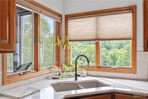 Tiny photo for 287 Larimore Valley Drive, Wildwood, MO 63005 (MLS # 25065400)