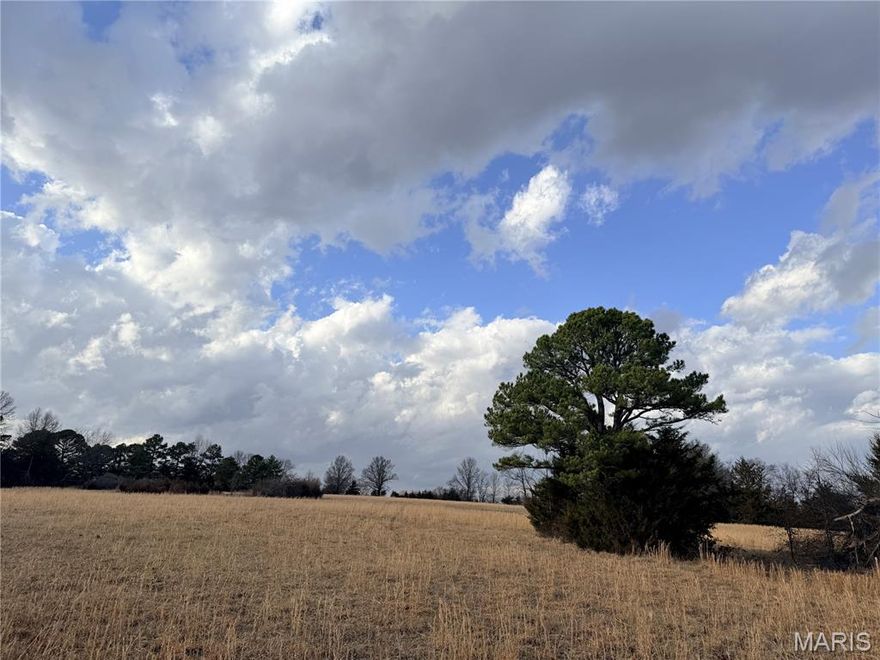 Welcome to your private Acreage of Heaven just awaiting your new home. Located just 3 miles from Mexico and 28 miles from Columbia. No build restrictions. There are close to 200 acres available, in 19 different tracts. All have been surveyed and easements set for roadways to all tracks. Please contact an agent before entering the land