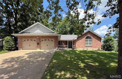 1321 Melvin Drive Festus MO 63028