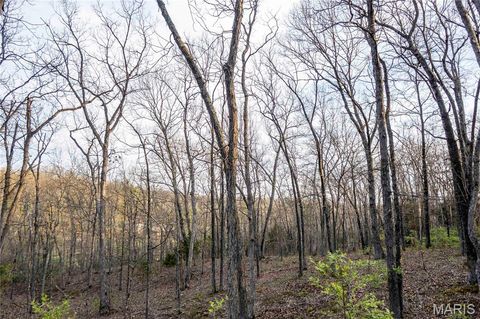 Tiny photo for 948 McIntosh Hill Road, Foley, MO 63341 (MLS # 25030417)