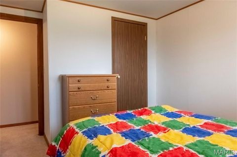 Tiny photo for 948 McIntosh Hill Road, Foley, MO 63341 (MLS # 25030417)
