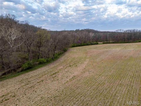 Tiny photo for 948 McIntosh Hill Road, Foley, MO 63341 (MLS # 25030417)