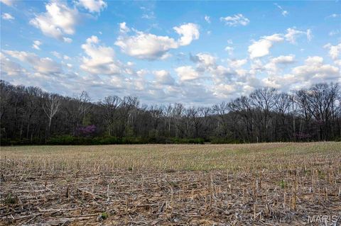 Tiny photo for 948 McIntosh Hill Road, Foley, MO 63341 (MLS # 25030417)