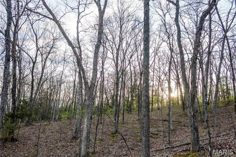 Tiny photo for 948 McIntosh Hill Road, Foley, MO 63341 (MLS # 25030417)