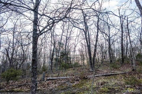Tiny photo for 948 McIntosh Hill Road, Foley, MO 63341 (MLS # 25030417)