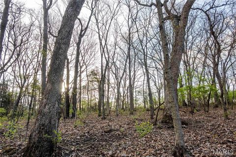 Tiny photo for 948 McIntosh Hill Road, Foley, MO 63341 (MLS # 25030417)