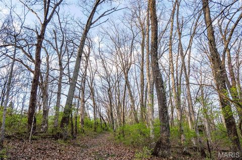 Tiny photo for 948 McIntosh Hill Road, Foley, MO 63341 (MLS # 25030417)