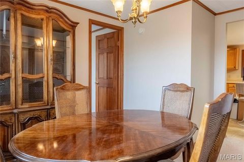 Tiny photo for 948 McIntosh Hill Road, Foley, MO 63341 (MLS # 25030417)