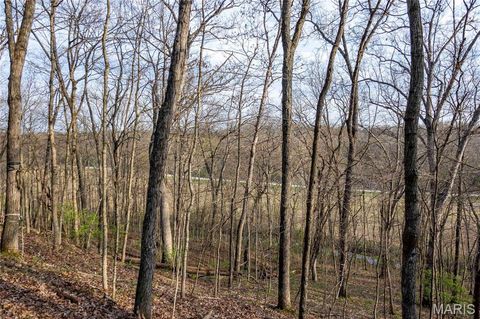 Tiny photo for 948 McIntosh Hill Road, Foley, MO 63341 (MLS # 25030417)