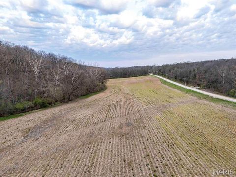 Tiny photo for 948 McIntosh Hill Road, Foley, MO 63341 (MLS # 25030417)
