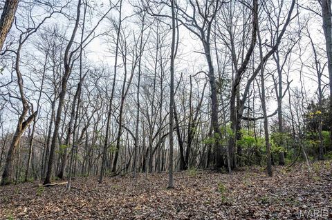 Tiny photo for 948 McIntosh Hill Road, Foley, MO 63341 (MLS # 25030417)