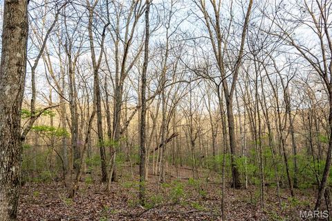 Tiny photo for 948 McIntosh Hill Road, Foley, MO 63341 (MLS # 25030417)