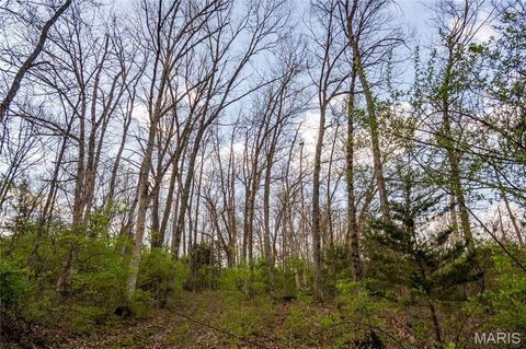Tiny photo for 948 McIntosh Hill Road, Foley, MO 63341 (MLS # 25030417)