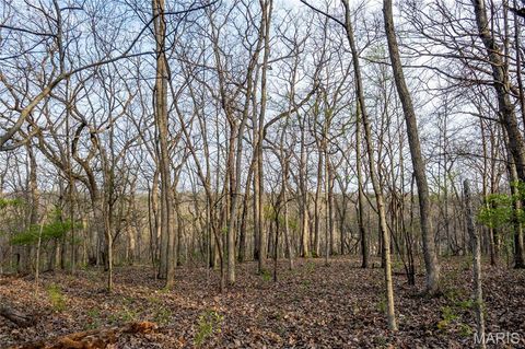 Tiny photo for 948 McIntosh Hill Road, Foley, MO 63341 (MLS # 25030417)