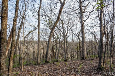 Tiny photo for 948 McIntosh Hill Road, Foley, MO 63341 (MLS # 25030417)