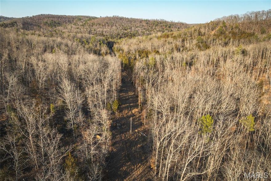 13.3 +/- acres located in the heart of some of Missouri’s best horseback riding, hunting, and floating country — just 2.5 miles from Eminence. This incredible property is close to Angeline Conservation Area, putting thousands of acres of additional recreational ground right at your fingertips. Ride your horse or take a short trip to the beautiful Ozark National Scenic Riverways, where you can drop a line for smallmouth bass or enjoy a relaxing float on crystal-clear waters. This area is well known for its abundant wildlife including whitetail deer, turkey, and other small game. With elk now established in Shannon County and black bears occasionally roaming the region, the outdoor opportunities here are second to none. The property was selectively logged with conservation in mind, allowing for healthy regrowth and excellent habitat. Electric borders the eastern side, making this an ideal location to build your dream home, hunting cabin, or weekend getaway. With no restrictions, you have the freedom to create the property you envision. If you’re looking for a true deer and turkey getaway in the Ozarks with unmatched access to riding trails, rivers, and conservation land, this is it.