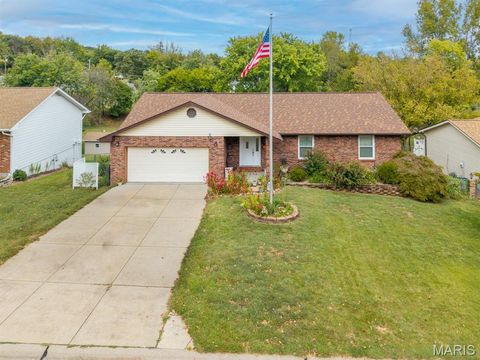 1415 Alexander Drive Festus MO 63028