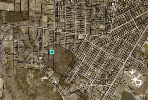 0 S Norwine Street Bonne Terre MO 63628