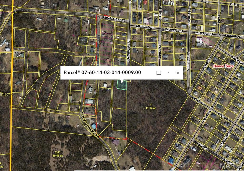 Photo of 0 S Norwine Street, Bonne Terre, MO 63628 (MLS # 26013838)