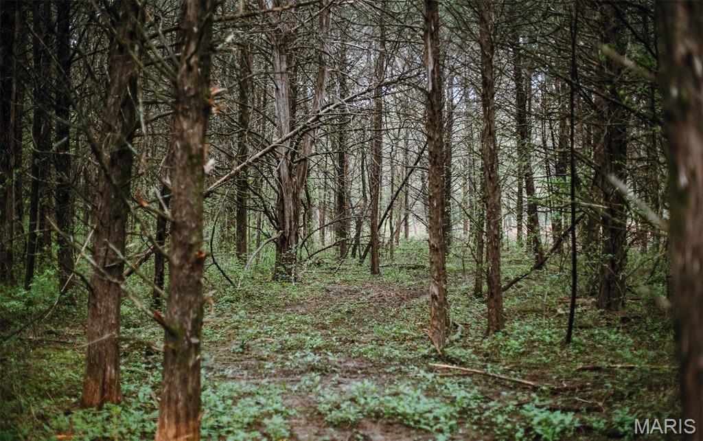 Drake Phase III - Land