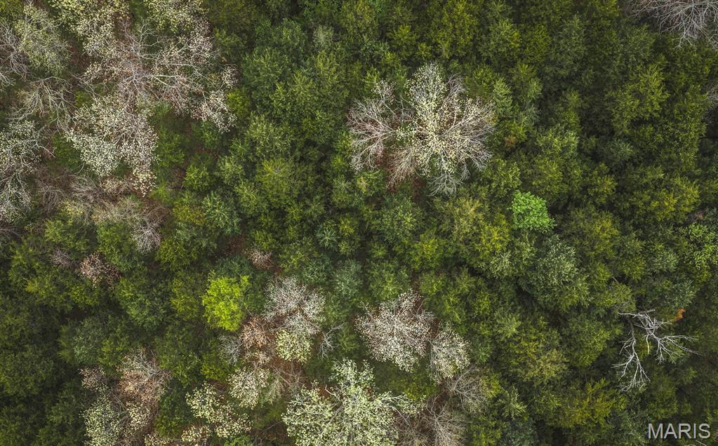 Drake Phase III - Land