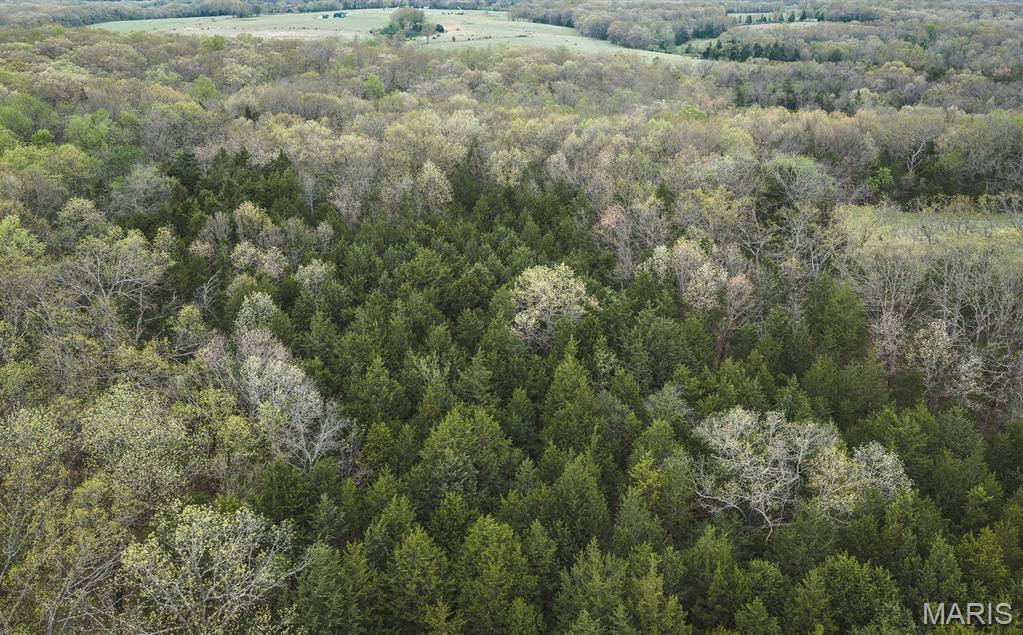 Drake Phase III - Land