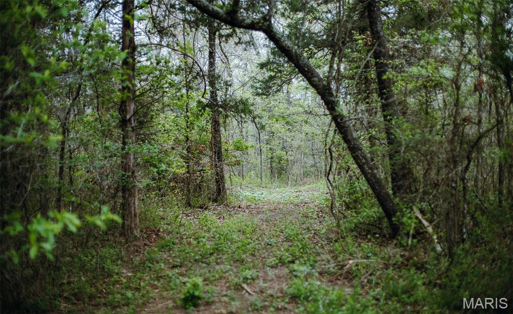 Drake Phase III - Land