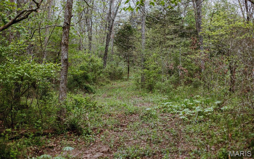 Drake Phase III - Land