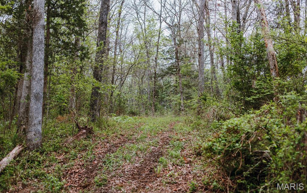 Drake Phase III - Land