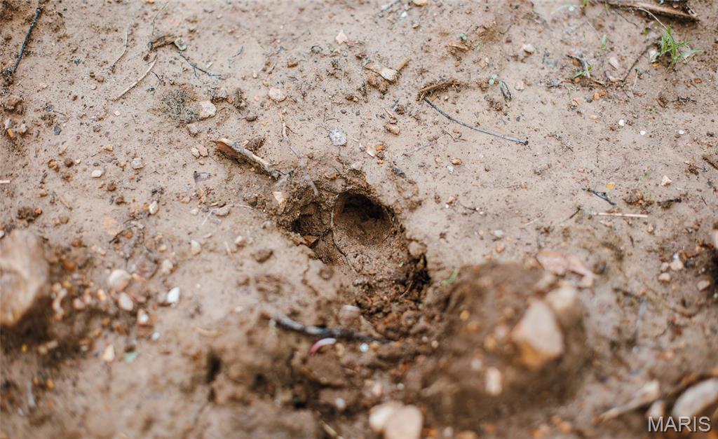 Drake Phase III - Land