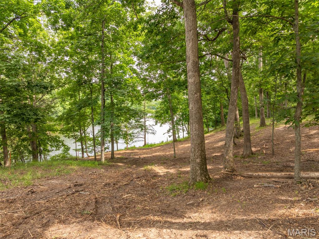 463 Foxfire Crossing Drive