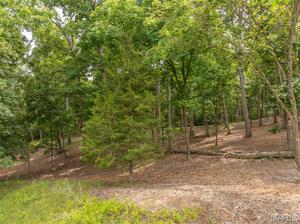 463 Foxfire Crossing Drive