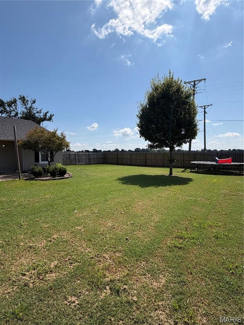 Tiny photo for 1102 Sequoyah Avenue, New Madrid, MO 63869 (MLS # 26059074)