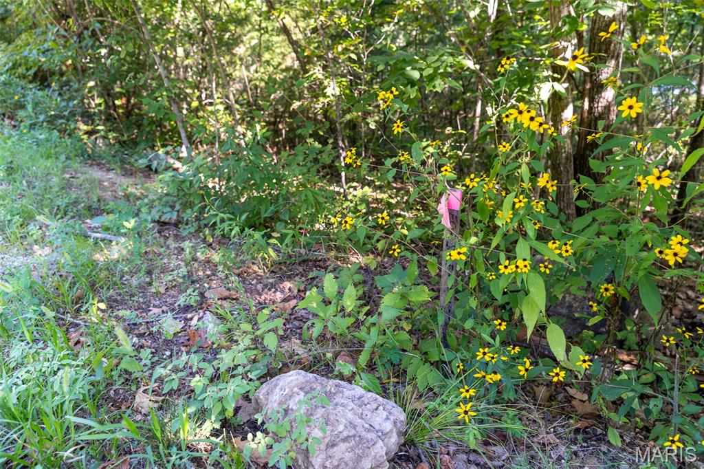 Briarwood Estates 05 - Land