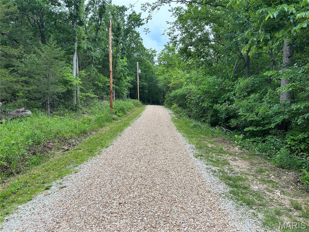 Briarwood Estates 05 - Land