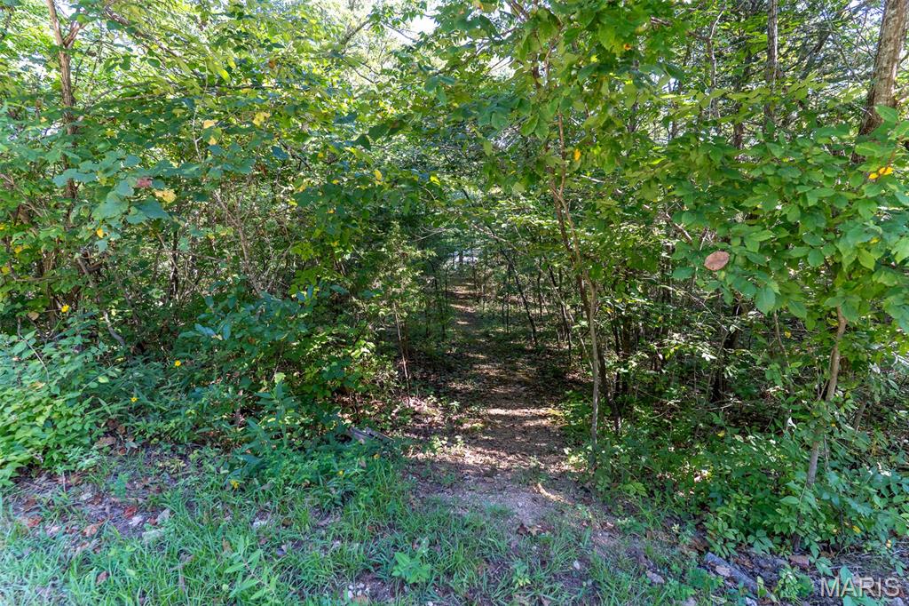 Briarwood Estates 05 - Land