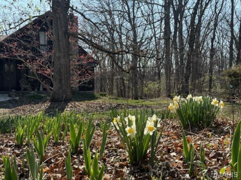 Village Green Subdivision - Residential