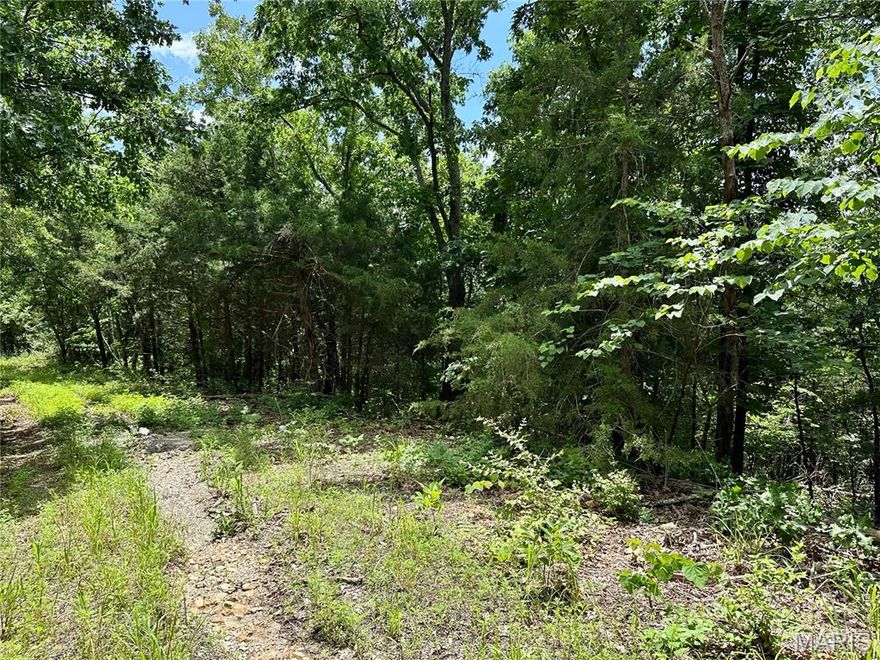 50 Acres m/l inside the city limits of Rolla. Heavily wooded. City utilities nearby.  Many possible uses.