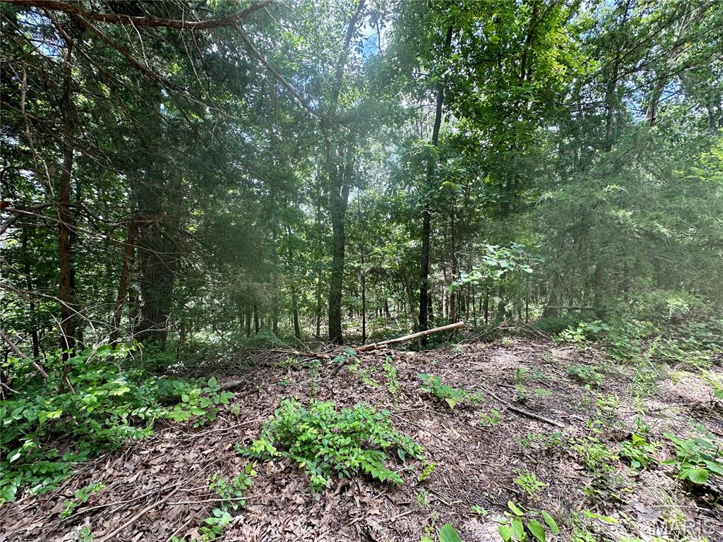 Railroad Addition - Land